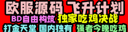 飞升计划